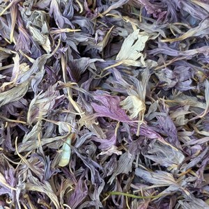 Cornflower Petals Litre Lilac Colour: Natural Wedding Confetti Light Purple UK Grown