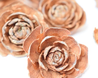 Cedar Roses 10pc Natural Tree Cones for Decor and Craft