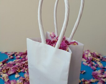 Little Paper Bags 10pc, Carriers for Tiny Gifts or Favours (6 x 8 cm)
