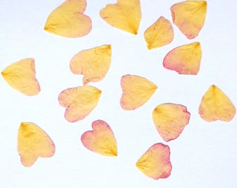 Pressed Rose Petals Pink - UK Grown Pressed Flowers for Craft, Cardmaking or Resin