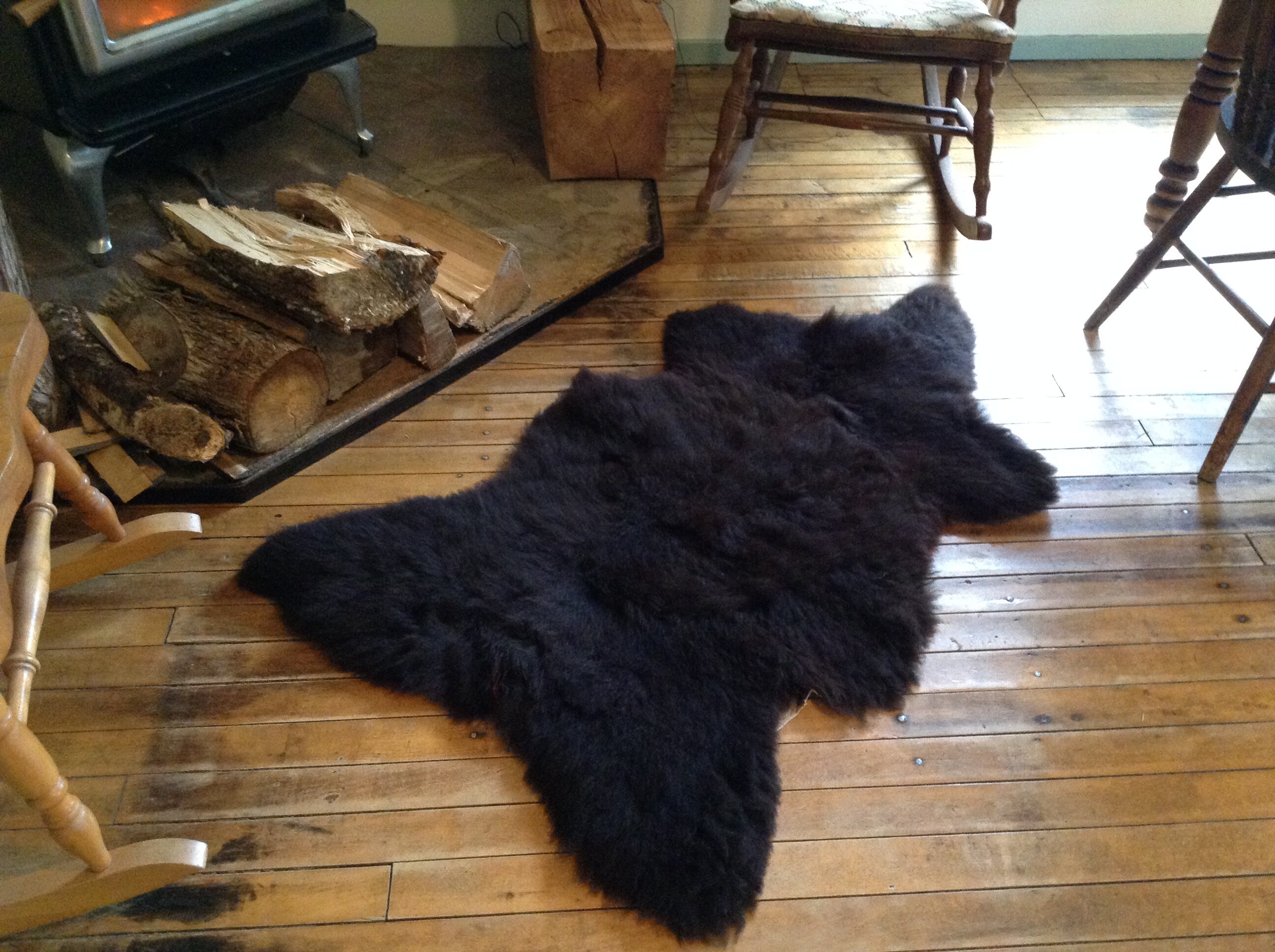 Real Bear Skin Rug Cost Carpet Vidalondon