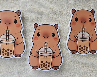 set of 3 Capybara Styrofoam cutouts for Centerpieces and birthday party decorations