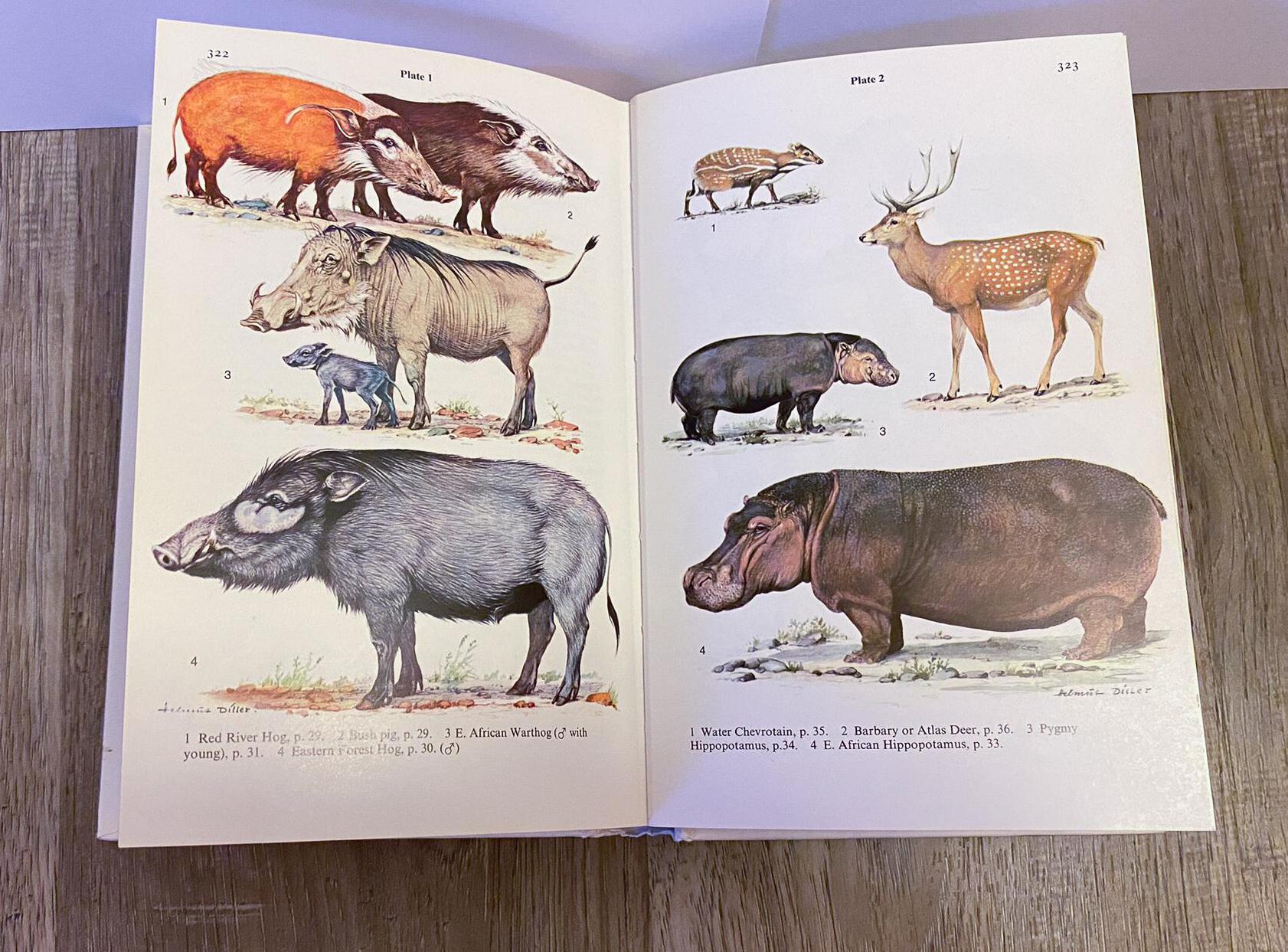 Field Guide to the Mammals of Africa Including Madagascar Book ...