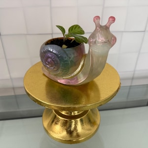 Slakkenplanter van hars met vlam violet/sappig