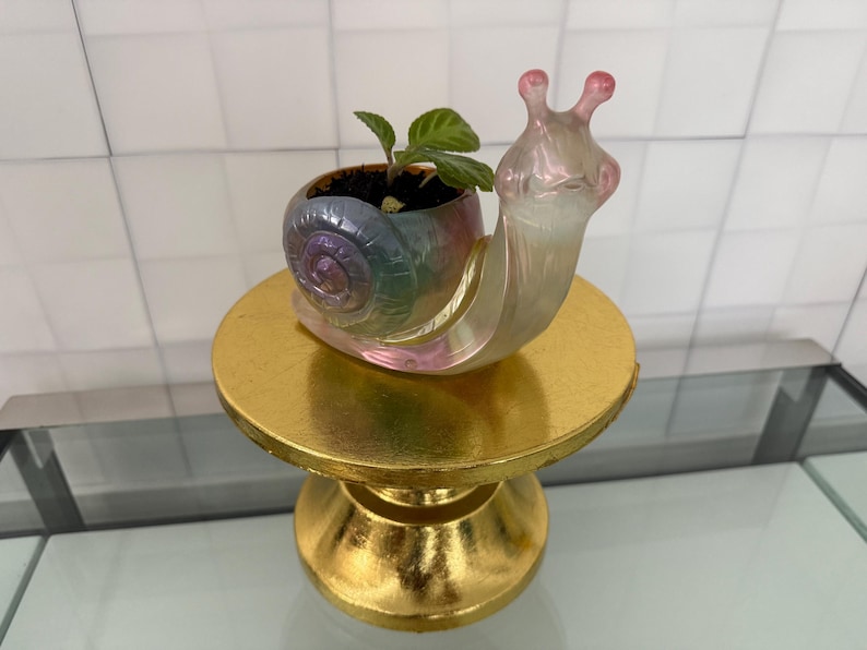 a snail planeter great for animal lover gift