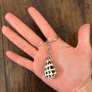 Hebrew Cone Shell Keychain