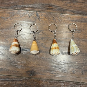 May include: Four keychains featuring natural seashells. Each keychain has a silver-colored ring and chain. The seashells vary in shape and color, with shades of brown, tan, and white. The keychains are arranged on a wooden surface.
