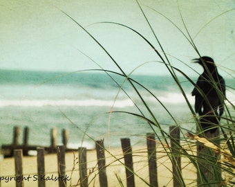 Outer Banks Photograph Beach Crow on Fence Seaside Print Aqua Teal Photograph Coastal shore Wall Art 8x12