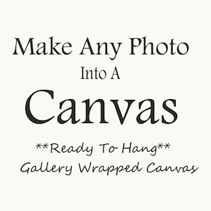 Canvas Wall Art- Any Photo as a Canvas- Fine Art Gallery Wrapped Canvas-Canvas Photograph- Canvas Print