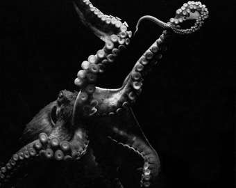 Octopus Photograph, Black and White Giant Octopus print, Kraken, Tentacles, Sea Life Wall print, 8x10 and up