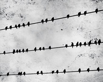 Birds on a Wire Photograph, Black and White Bird Print, Whimsical Modern Black Birds on A Wire 8x10 and up