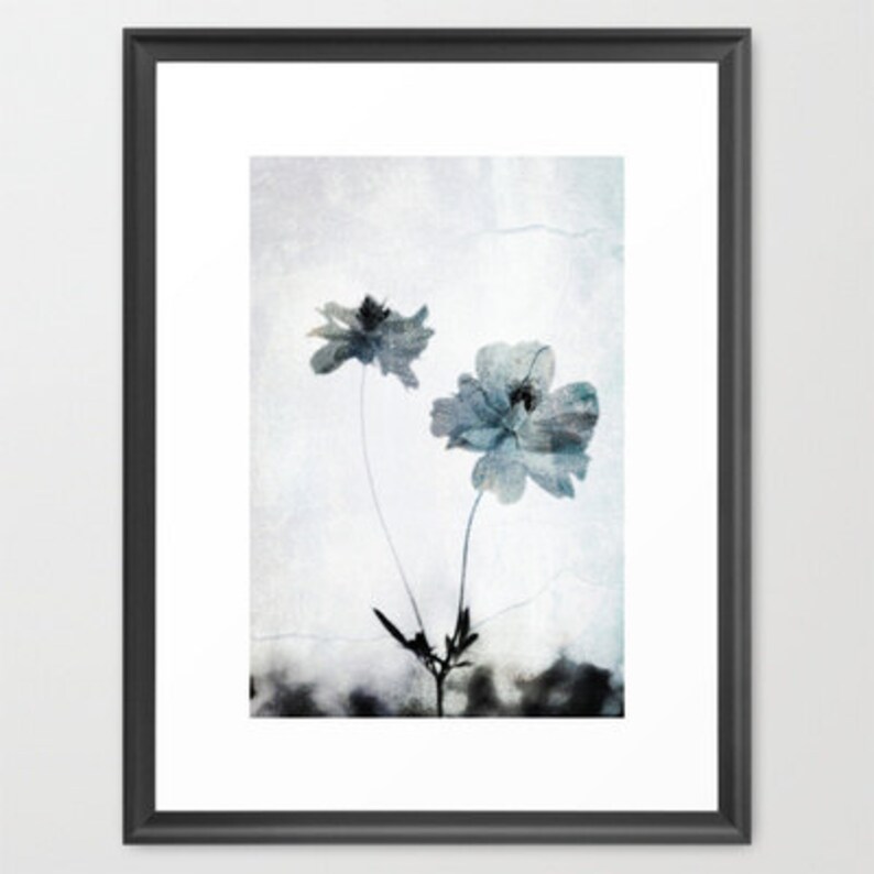 Ethereal Flower Photograph Pale Blue Gray White Wall Decor Botanical