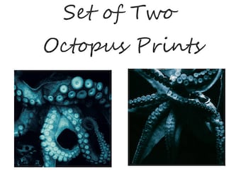 Octopus Prints, Set of Two Octopus photographs, Teal Blue Kraken set of 2 Prints, Ocean life, tentacles, nautical theme decor
