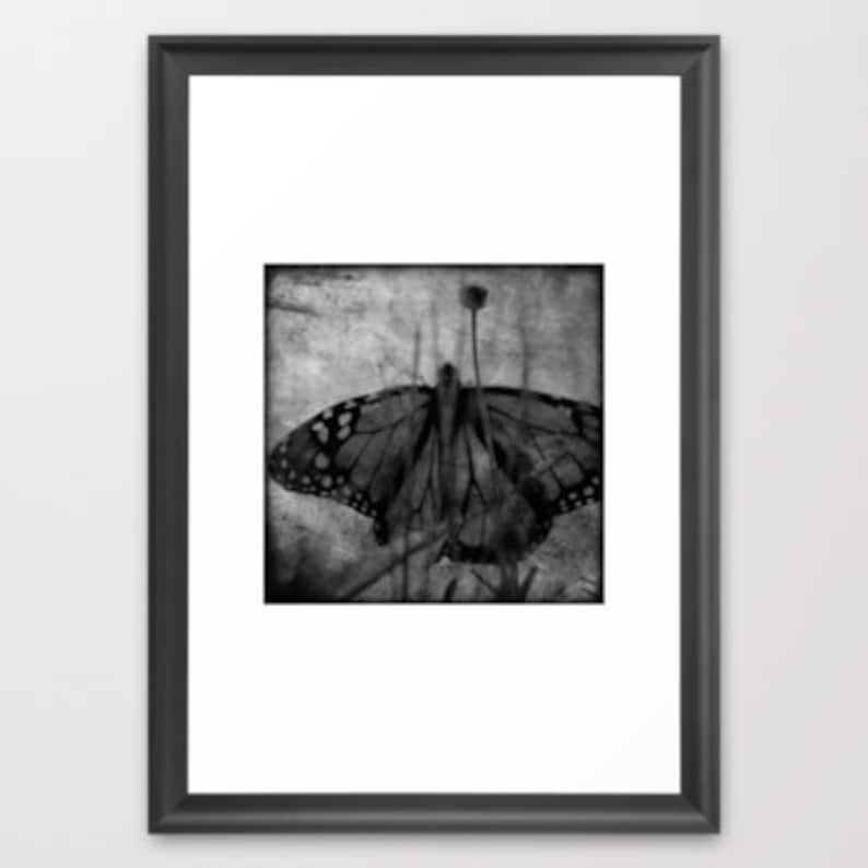 Butterfly Photograph Black and White Dreamy Surreal Butterfly Wings and Flower nature wall decor 8x8 image 3