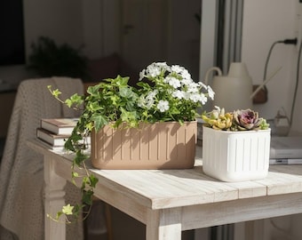 Scandinavian Ribbed Planter Set | Modern Minimalist Indoor Plant Pots