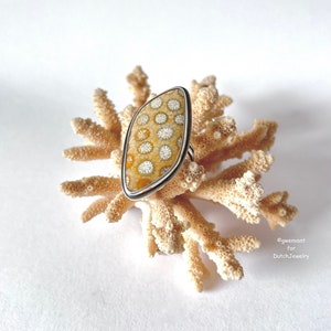 Fossil Coral in a  Silver Ring, size 9,  unique handmade, gift, ready to ship
