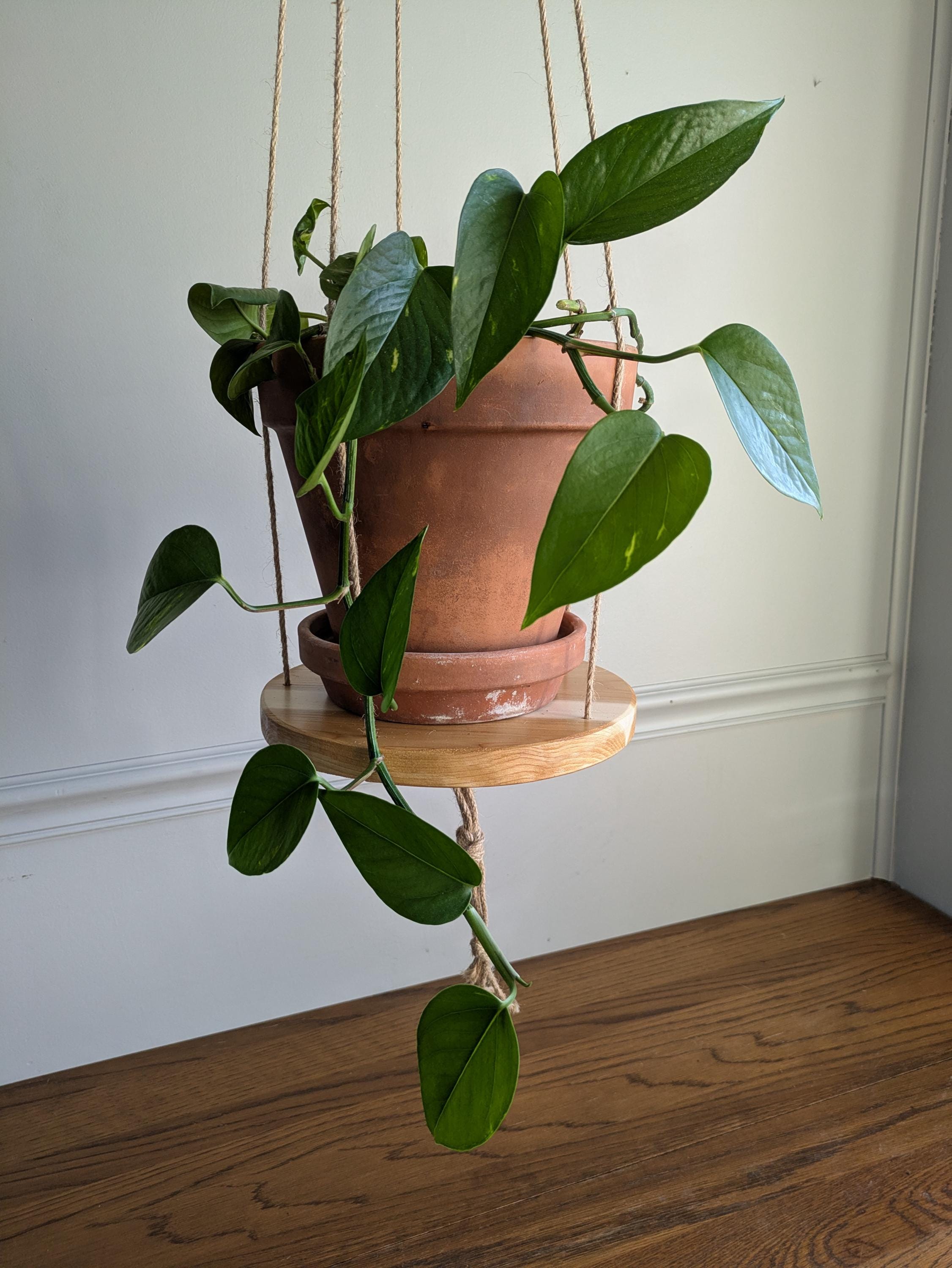 Jute Plant Stand - Etsy