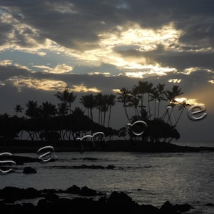 May include: Silhouette of palm trees against a cloudy sky with a bright sun shining through the clouds. The trees are on a small island with a body of water in the foreground.
