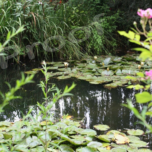 France 2009 - Monet's Water Lilies