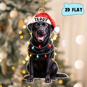 May include: A black Labrador Retriever Christmas ornament wearing a Santa hat with the name "TEDDY" and a string of colorful lights. The ornament is 2D flat.