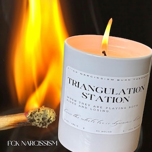 May include: A white candle with the text "TRIANGULATION STATION" and "FCK NARCISSISM" is lit with a flame. A burning match is in the foreground. The candle has a burn time of 65 hours and is 10 oz.