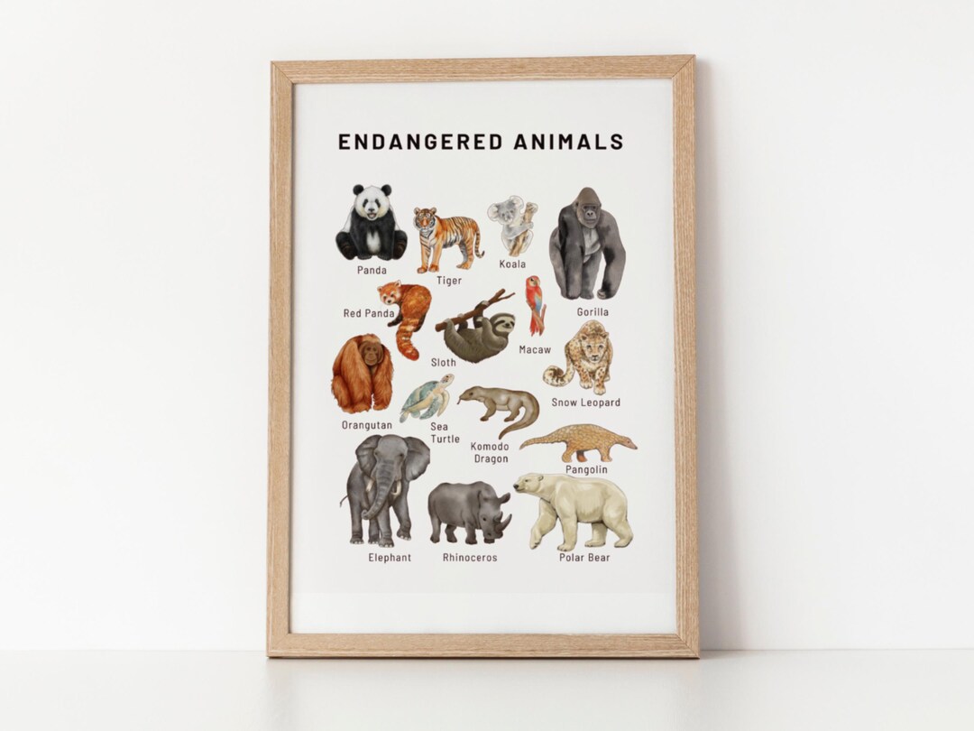 Endangered Animals Poster – Watercolor Educational Wall Art for Kids ...