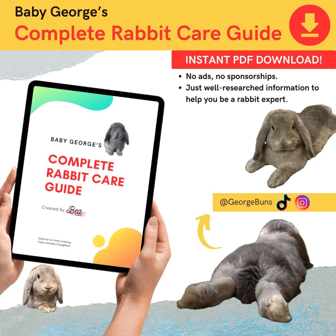 Rabbit Care Guide: Bunny Health, Training, Nutrition, and More (instant ...