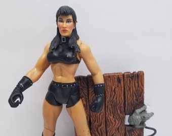 custom wwe action figures