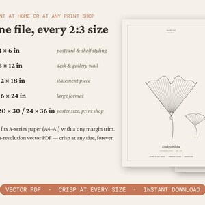 Può includere: Un file di stampa digitale con un disegno botanico a linee di una foglia di Ginkgo biloba. Il testo elenca le dimensioni in pollici, la compatibilità con la carta serie A e specifica un formato PDF vettoriale ad alta risoluzione per la stampa.