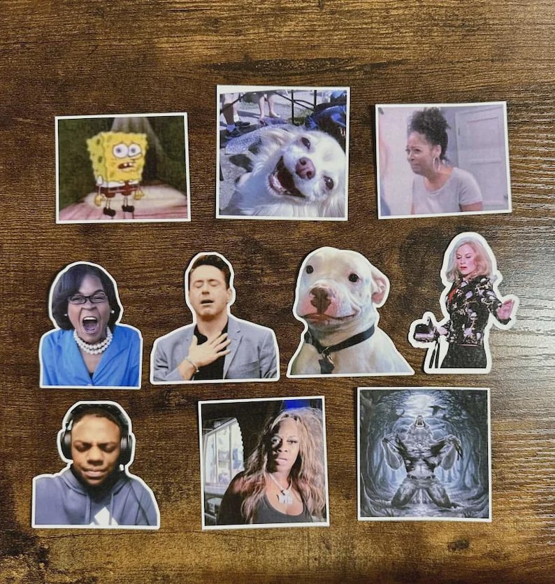 Funny Reaction Picture Sticker Packs - Etsy
