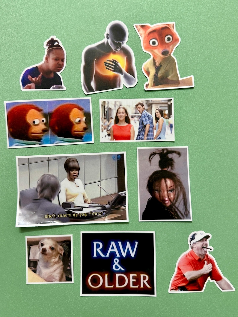 Funny Reaction Picture Sticker Packs - Etsy