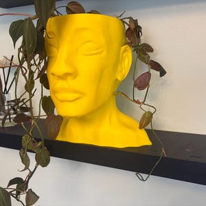 Realistic male head 3D printed indoor planter