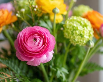 Ranunculus Persian Buttercup Mixed Colors Rose-Like Blooms (100 seeds)