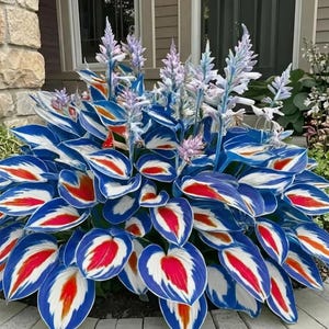 May include: A set of three ceramic mugs with a speckled, cream-colored glaze. Each mug features a different hand-painted floral design in shades of blue, green, and yellow. The mugs have a simple, rounded shape and a comfortable handle.