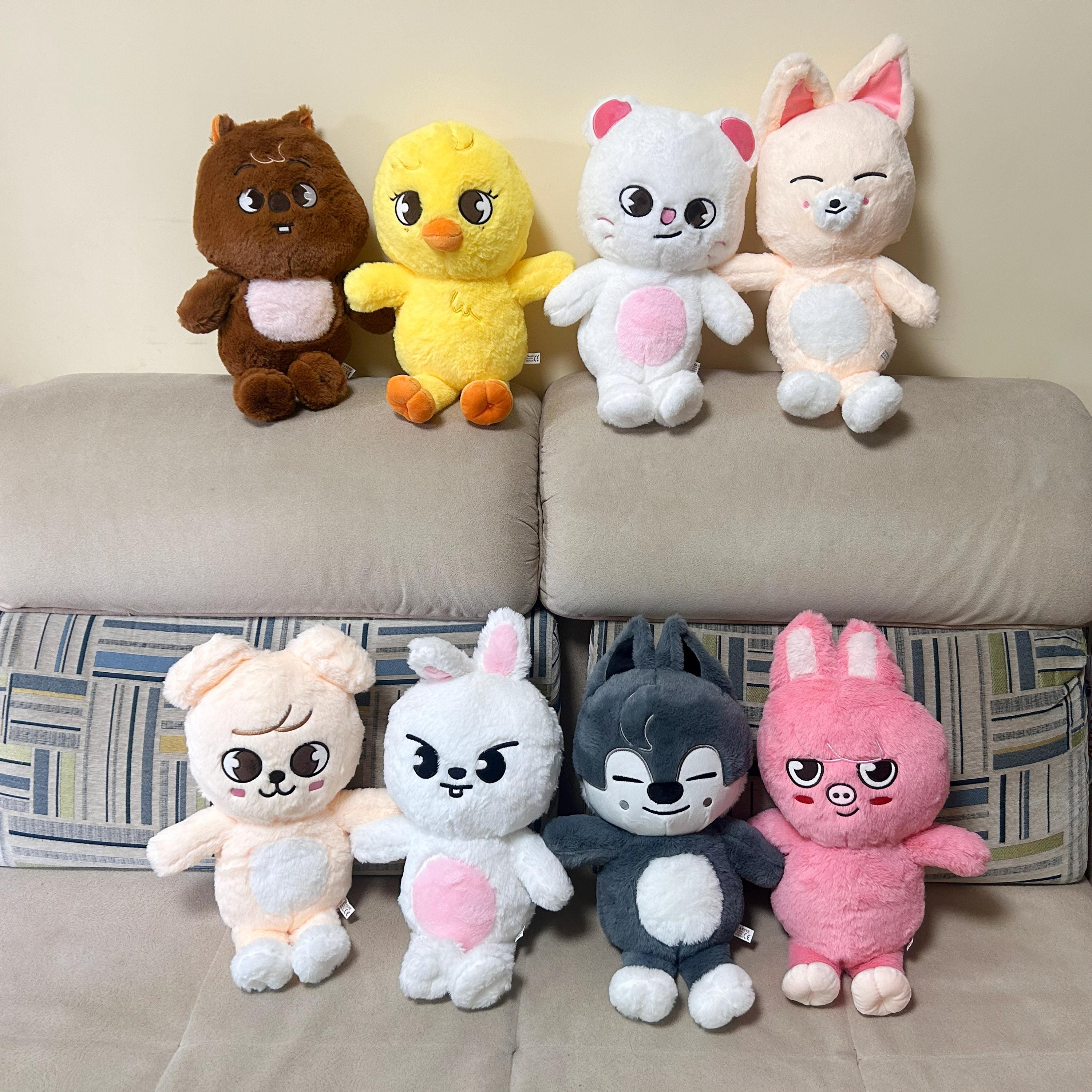 Stray Kids Skzoo Teddy - Etsy