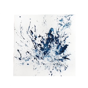 Abstract Seaweed Cyanotype Print, Handmade Photogram, 21x21cm