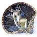 see more listings in the Shell Jewlery Dish section