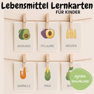 May include: Educational flashcards for children, featuring illustrations of various foods. The cards are suspended from a string with wooden clothespins. The cards display images of an avocado, plum, wheat, shrimp, corn, and pear, with the German words for each food item.