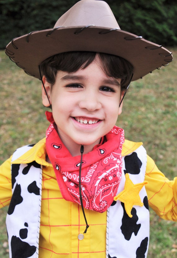 Woody Cowboy Hat. Brown Cowboy Hat With 