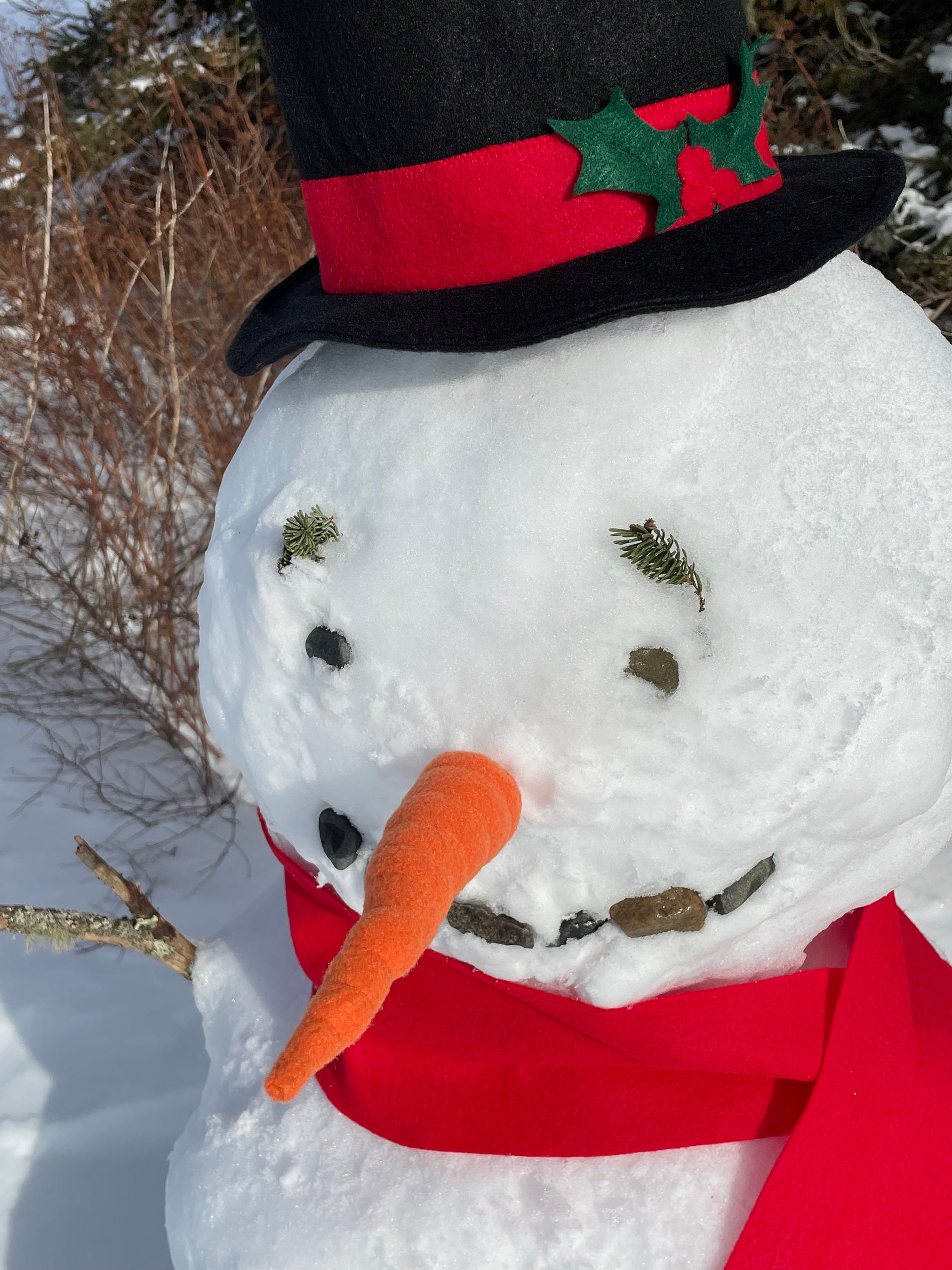 TheFeistyDragon Snowman Kit. Snowman Hat, Scarf, and Carrot for Winter Snowman Decoration. Snowman Dress Up Kit.