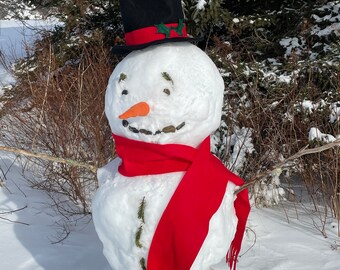 Snowman Kit. Snowman Hat, Scarf, and Carrot for Winter