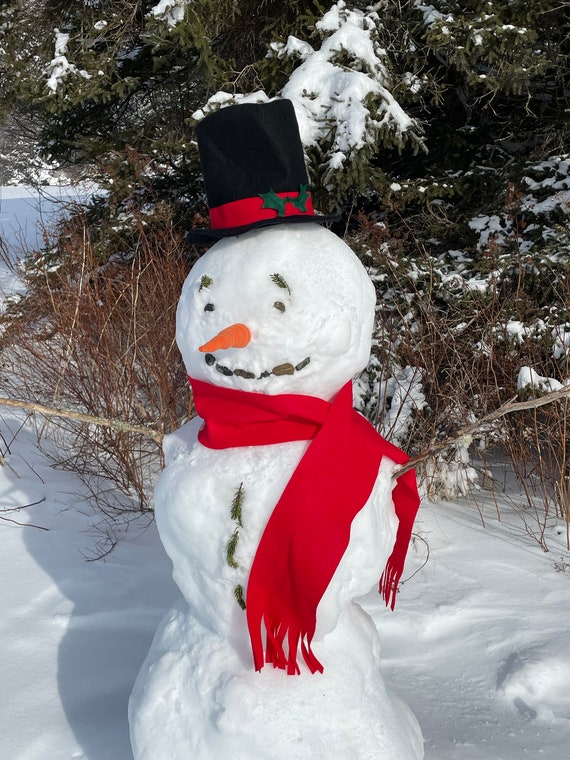 TheFeistyDragon Snowman Kit. Snowman Hat, Scarf, and Carrot for Winter Snowman Decoration. Snowman Dress Up Kit.