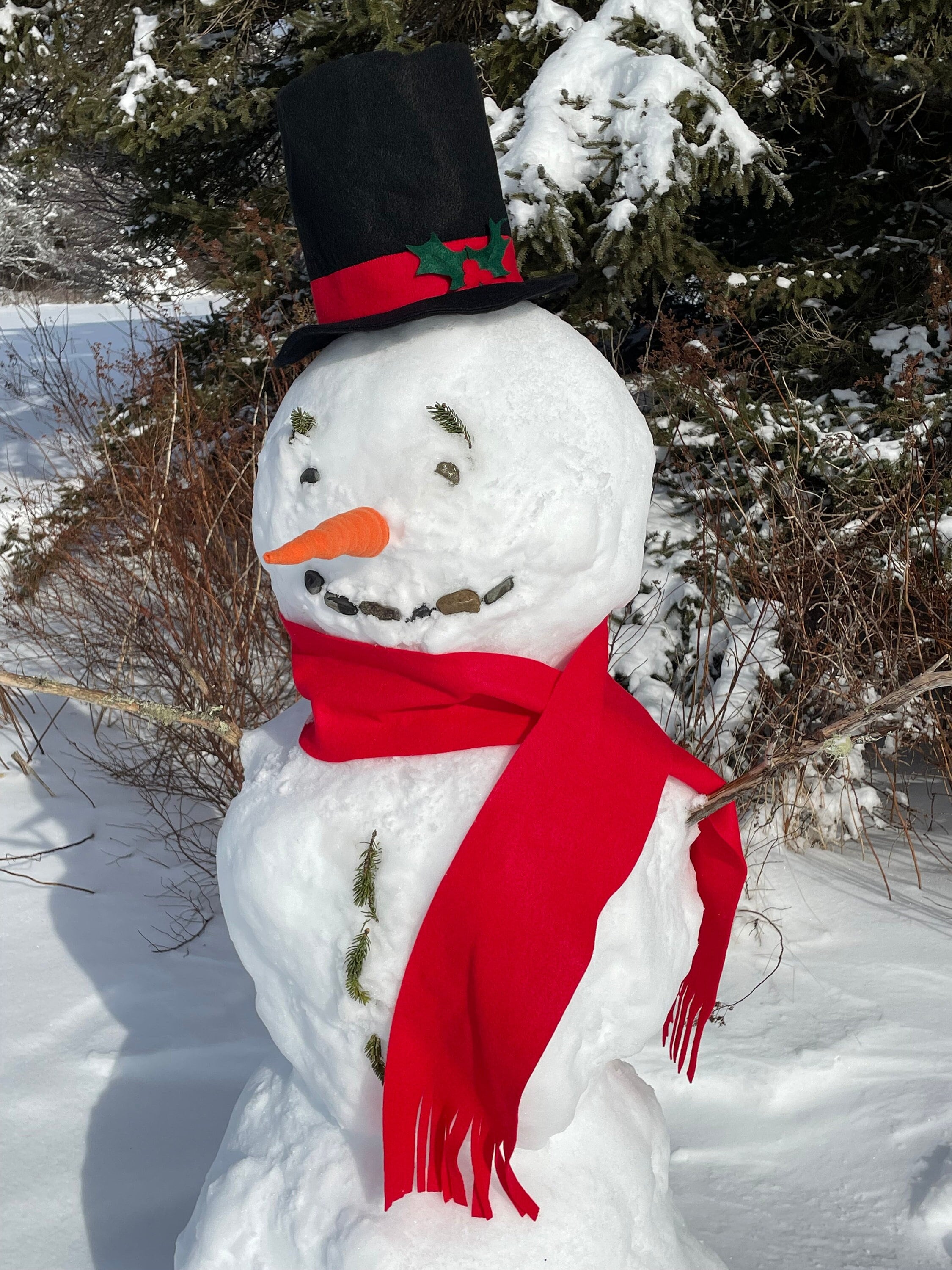 SnowMan Snow WouldTシャツ （肖像Ver.） Snowman Hat. Snowman Dress Up. Holly Top Hat. Snowman Hat