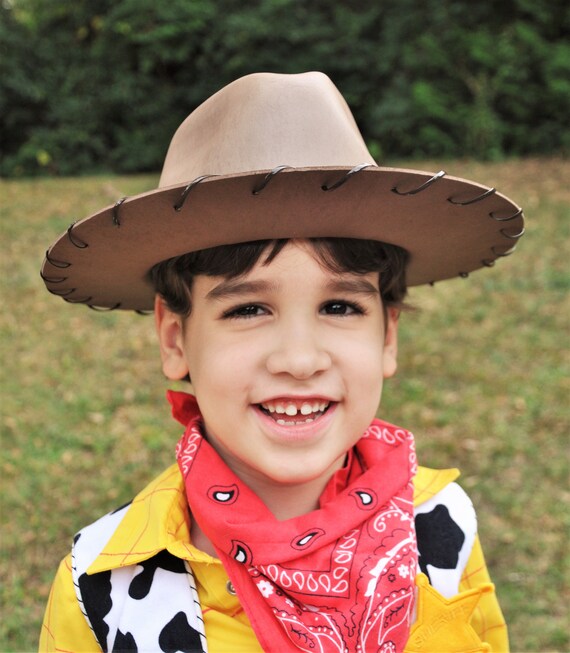 Woody Cowboy Hat. Brown Cowboy Hat With 