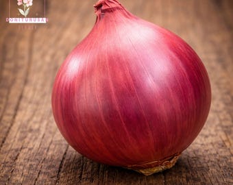 100 Ruby Red Onion Seeds, Heirloom Garden Vegetable, High Yield, Culinary Cooking