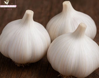 California Baja Garlic Bulbs, 6 Jumbo Bulbs Easy Peel, Aromatic Flavor for Baking and Cooking