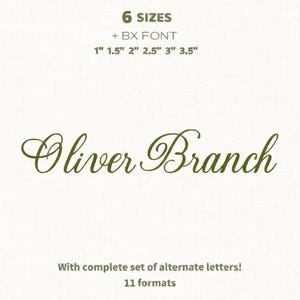 Broderie numérique à la machine avec polices Olive Branch, broderie de polices manuscrites, broderie de polices de caractères de mariage, 6 tailles, 11 formats + police BX