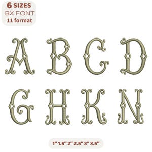 Puede incluir: Colección de letras bordadas en fuente serif, incluyendo A, B, C, D, G, H, K y N. Las letras son de color oro claro y presentan adornos decorativos. La imagen también incluye texto que indica 6 tamaños y 11 formatos, con tamaños que van de 2,5 cm a 8,9 cm.