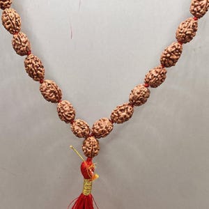 Indonesian 3 Mukhi Rudraksha Mala 108 Beads