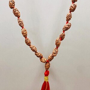 Indonesian 2 Mukhi Rudraksha Mala 108 Beads